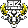 Biz Gaming