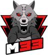 Team M33