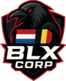 BLX CORP